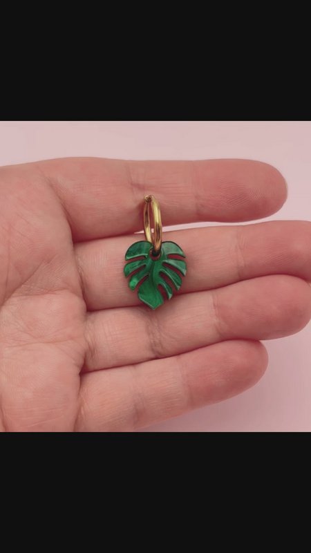 Monstera – Zum Komponieren