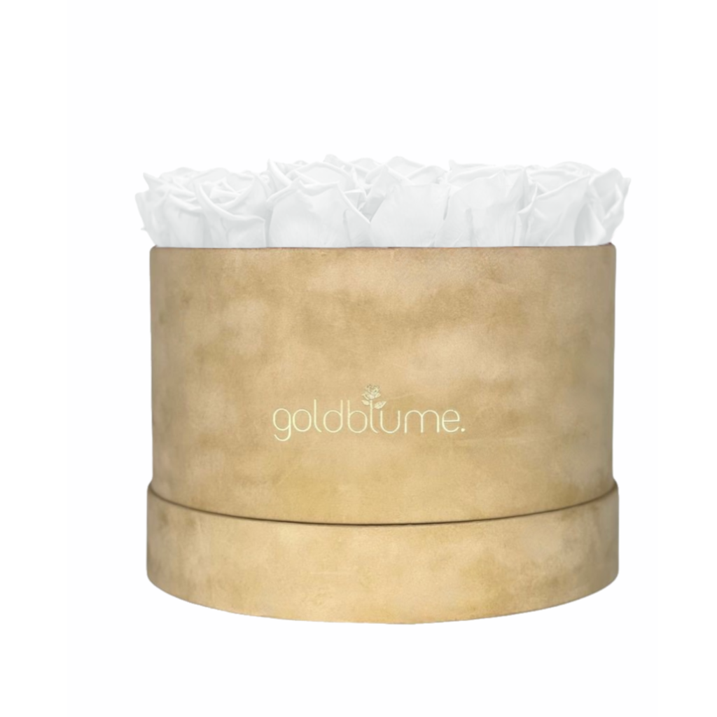 Colección Terciopelo Beige