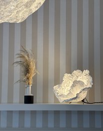 A decorative table lamp with a round, glass shade and a wooden base. The lamp is surrounded by potted plants, including ferns and other greenery, creating a natural and rustic ambiance.