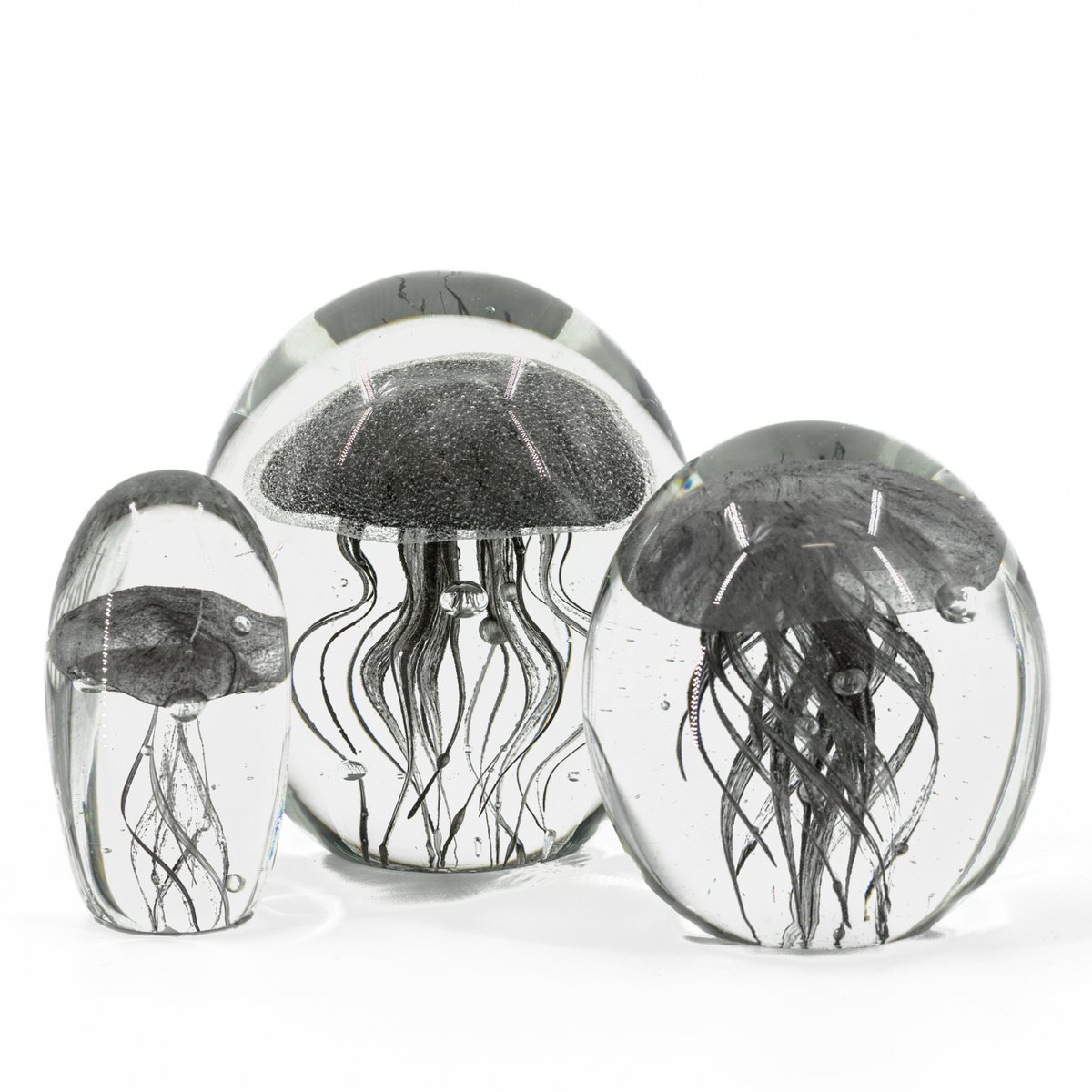 Jellyfish in glass