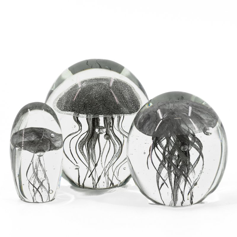 Jellyfish in glass