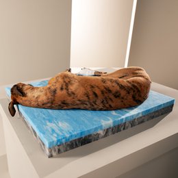 TUDOR ORTHO | Premium Orthopedic Dog Bed