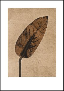 Calathea caramel 50x70 cm