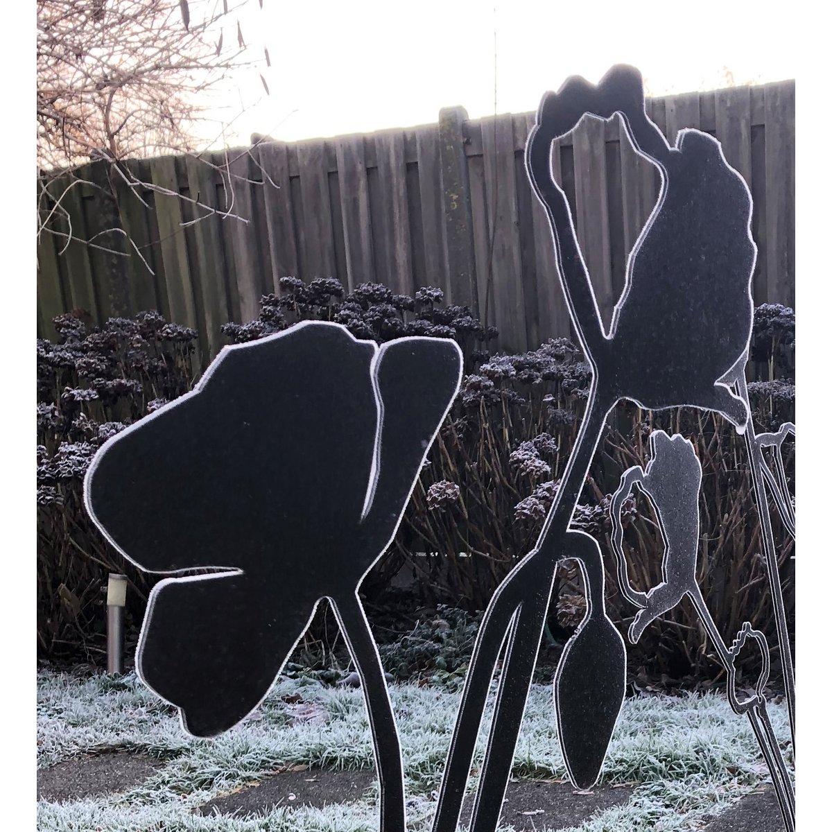 Poppy with flower bud | corten stem