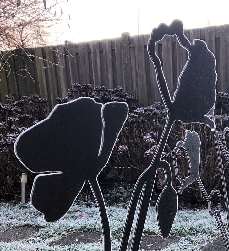 Valmue med blomsterknop | corten stål