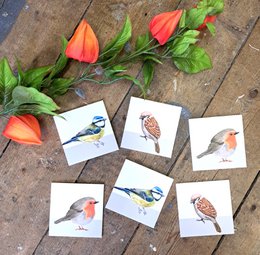 Coasters birds