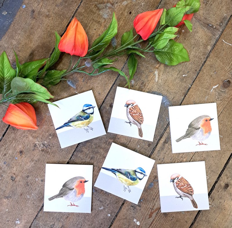 Coasters birds