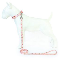 Pet leash Abby size S Isabelle Rose