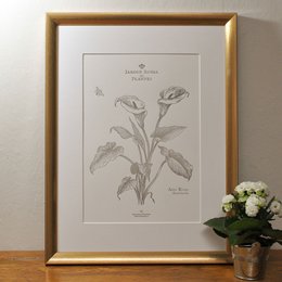 Poster featuring a botanical illustration of a white arum flower. The poster has a neutral color scheme and a simple, elegant design.