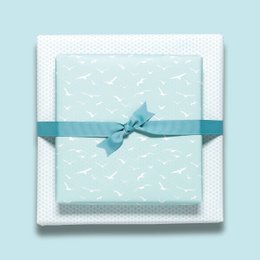 Vögel Emballage Paper Mint - Papier d'emballage maritime avec des mouettes, comme emballage cadeau pour le mariage, pour la naissance ou le baptême
