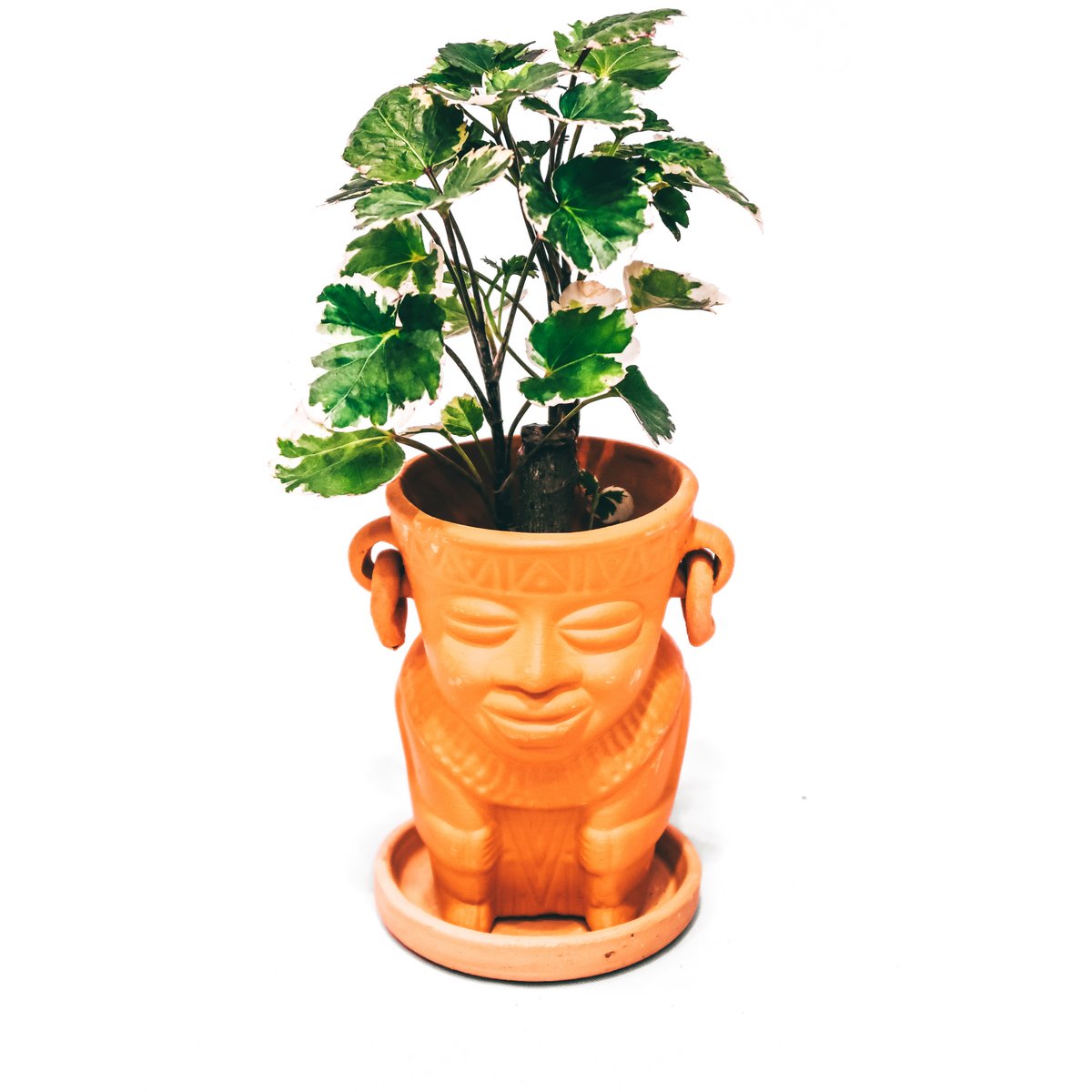 16 X Indio Man Pot D8 H11 - REF 001