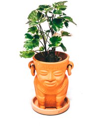 16 X indio man pot D8 H11 - REF 001