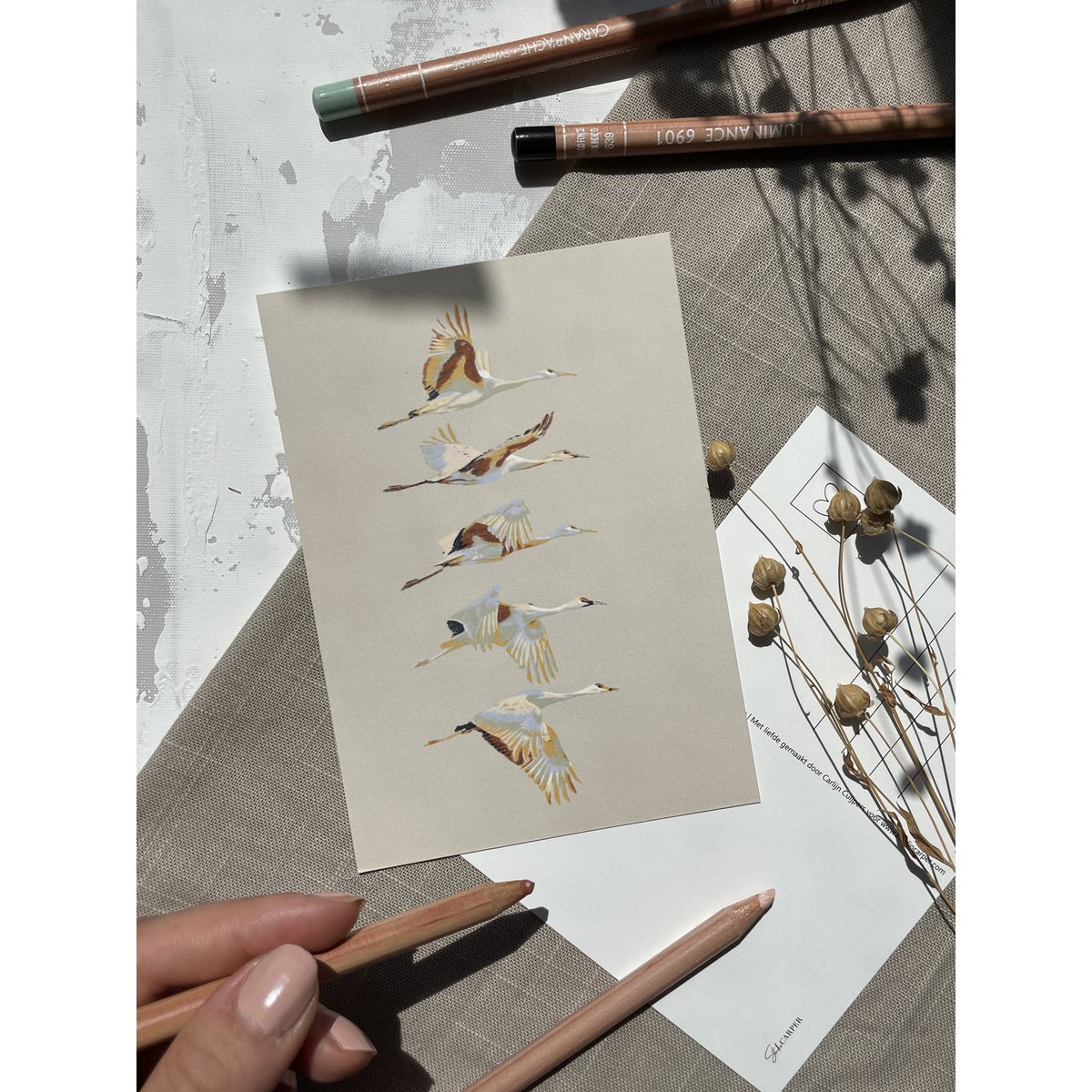 Ansichtkaart 'Free bird'