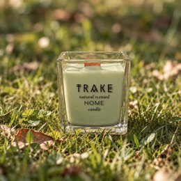 TRAKE DUFTKERZE „ZAUBERWALD“ | Zauberwald – 250 g