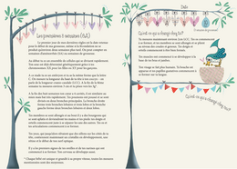 Raconte-Moi Maman, pregnancy and birth diary 2 in 1