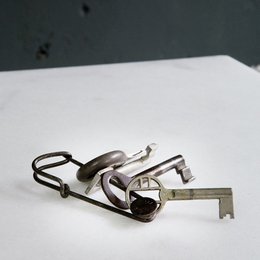 Laundry Pins Wire (5 pcs), Brut Homeware