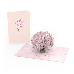 Kirsebærblomster træpop-up-kort