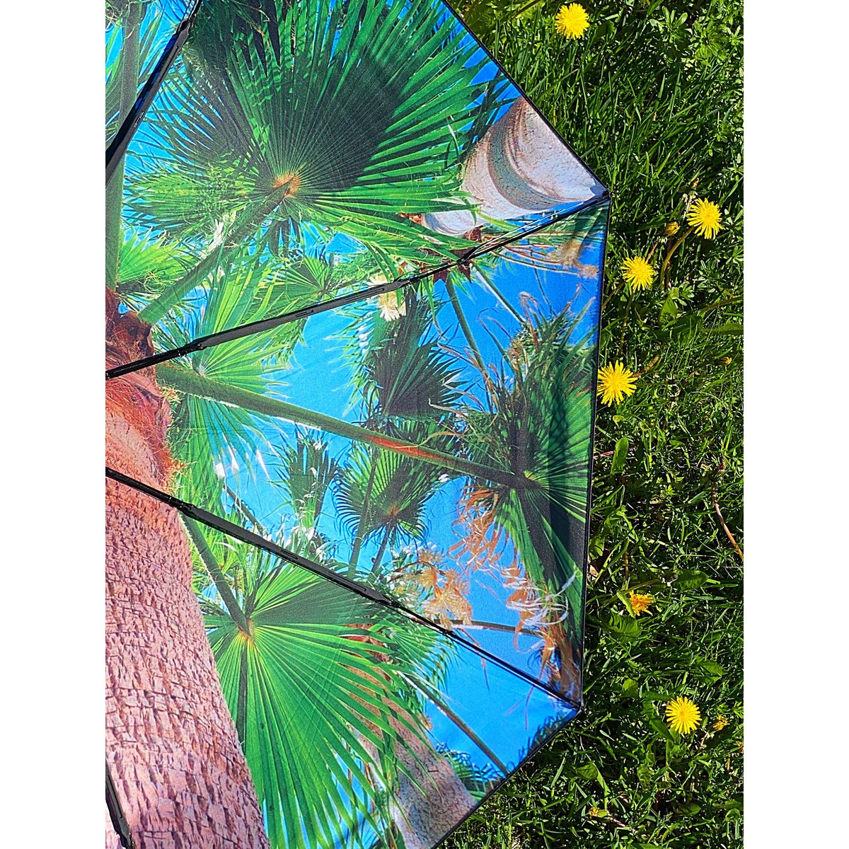 Paradise Umbrella – Windproof & UPF50+ Protection