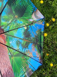 Paradise Umbrella – Windproof & UPF50+ Protection