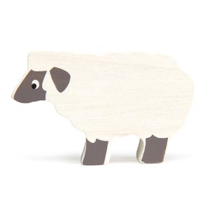 Farm animal - Sheep