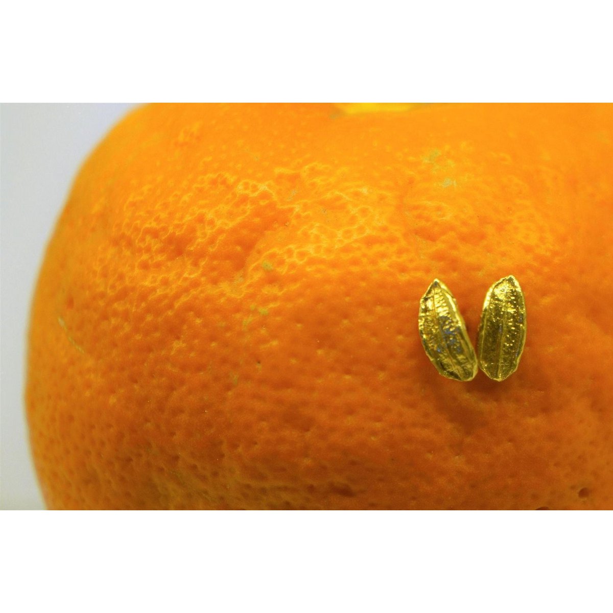 Real Olive Leaf Earrings, Handmade Nature Jewelry, Organic Tree Studs, Gift for Success & Longevity, Gold or Sterling Silver 925