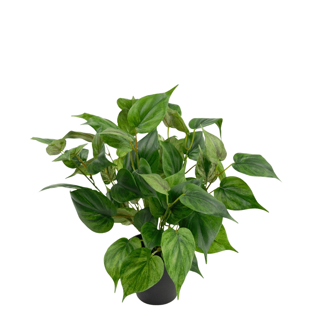 Kunstplant Philodendron in pot 35 cm