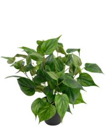 Kunstplant Philodendron in pot 35 cm