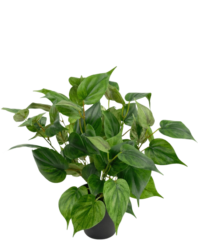 Kunstplant Philodendron in pot 35 cm