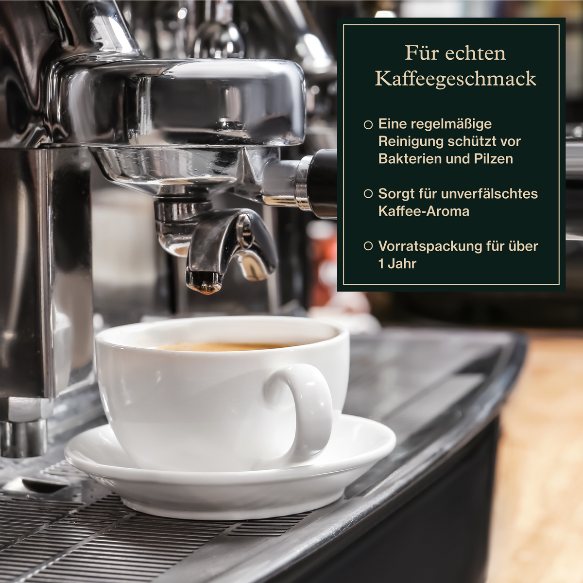 Rengøringstabletter til fuldautomatiske kaffemaskiner (40x2,5 g)