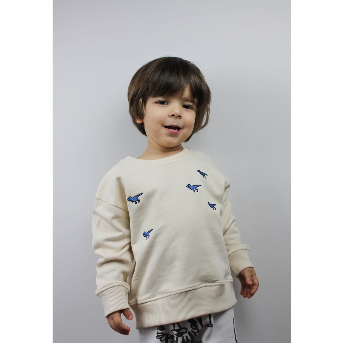 Bluza dziecięca Dino