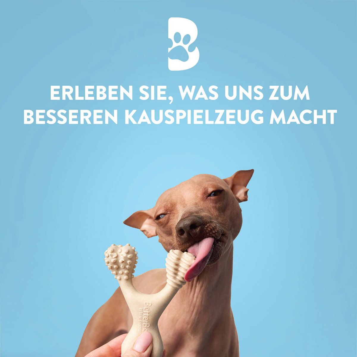 Betterbone Dogs Chewing Bones - Mini Soft Classic (zonder nylon, CO2 neutraal gemaakt in Europa)