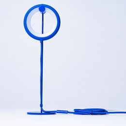 💡 Lampe Nomade Bily Bird