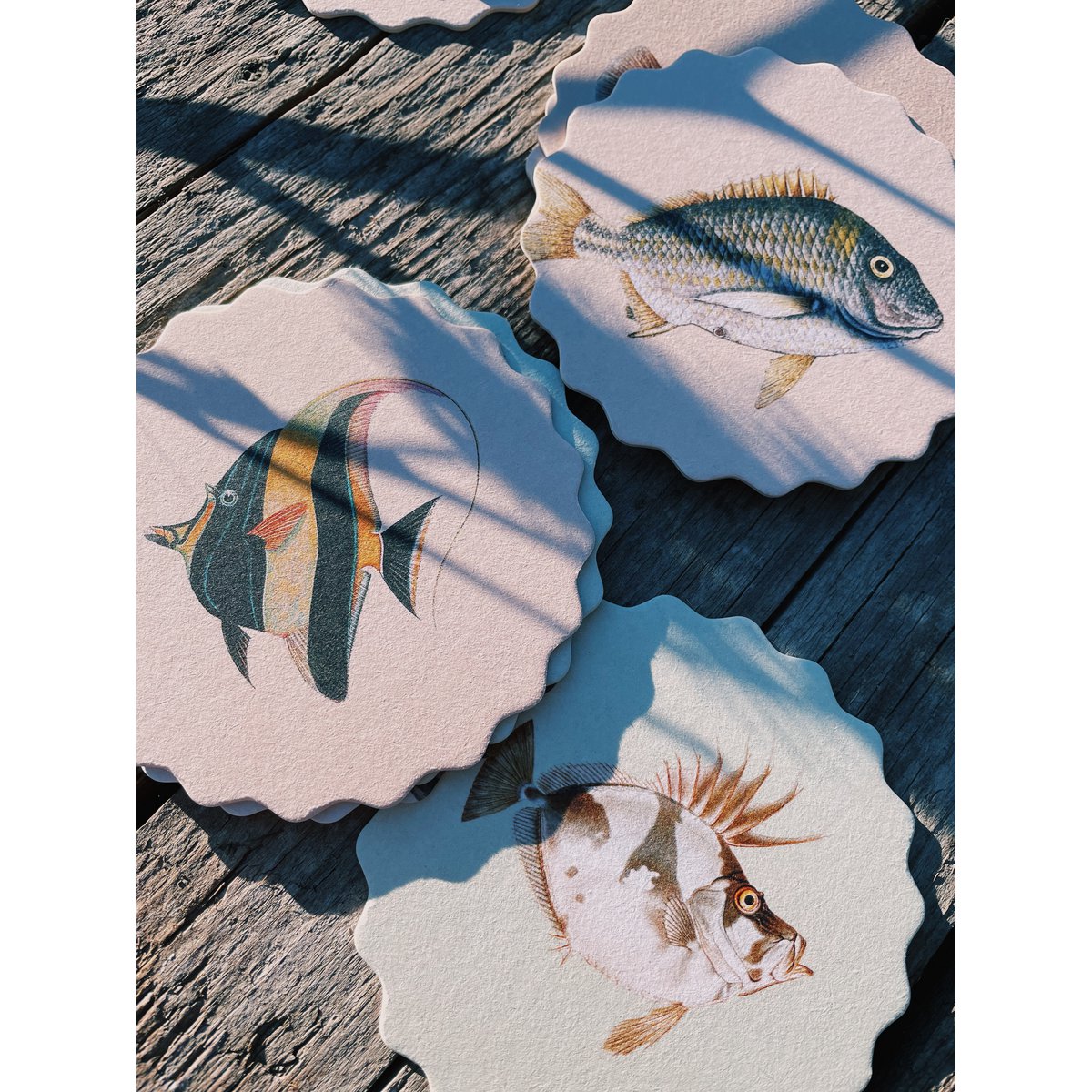 Sottobicchiere 10 motivi pesce - 12 set