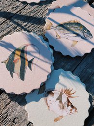 Untersetzer/Coaster 10 Motive Fische - 12 Sets