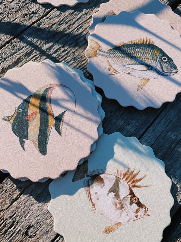 Untersetzer/Coaster 10 Motive Fische - 12 Sets