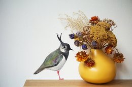 Wall sticker Lapwing M