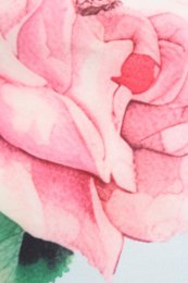 EU BOCK LISETTE BEX BLEU BLEUR TROIS SIRTER SHEEVE ROSE ROSE PRINT BOLERO
