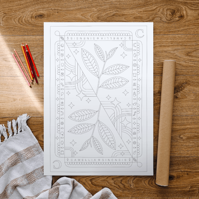 Kolorowanki Camellia sinensis 50 x 70 cm