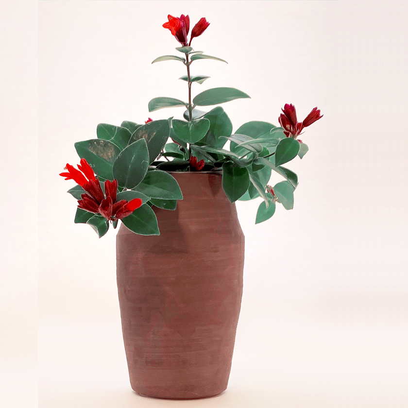 Waimea Vase Naked | Ceramic | Plant pot |wabi sabi | Clay | handmade | dutch design