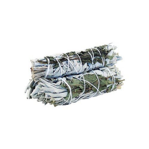 Weißer Salbei und Pfefferminze für Klarheit 10 cm