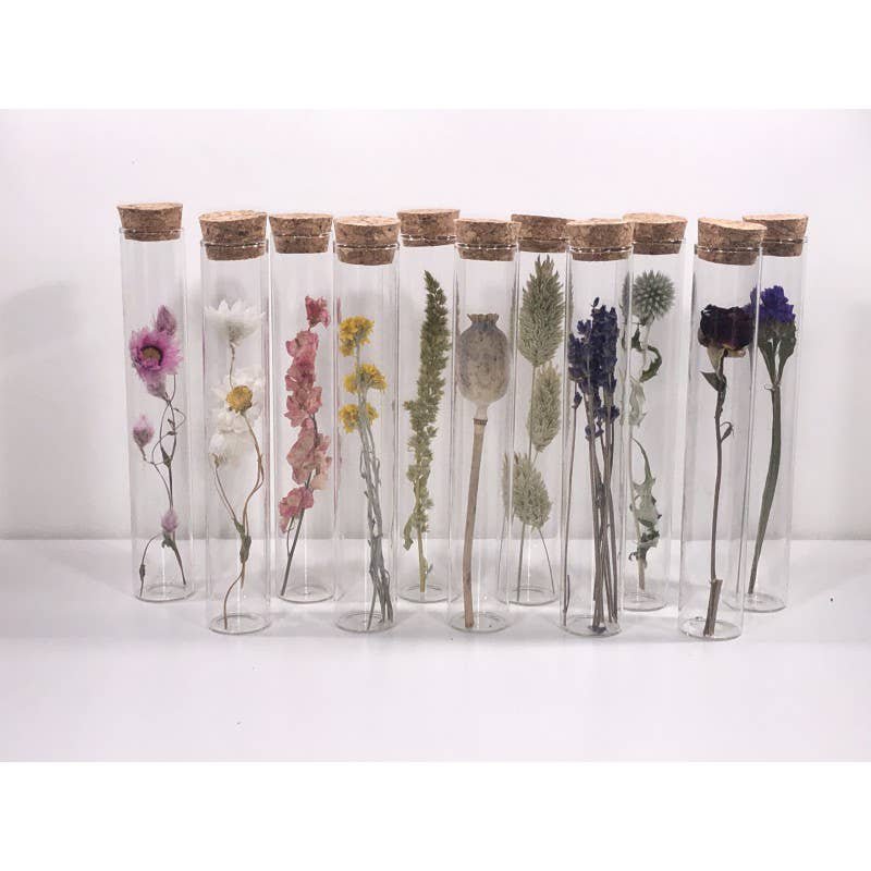TUBE 15 CM WITH DRIED FLOWER - Gift