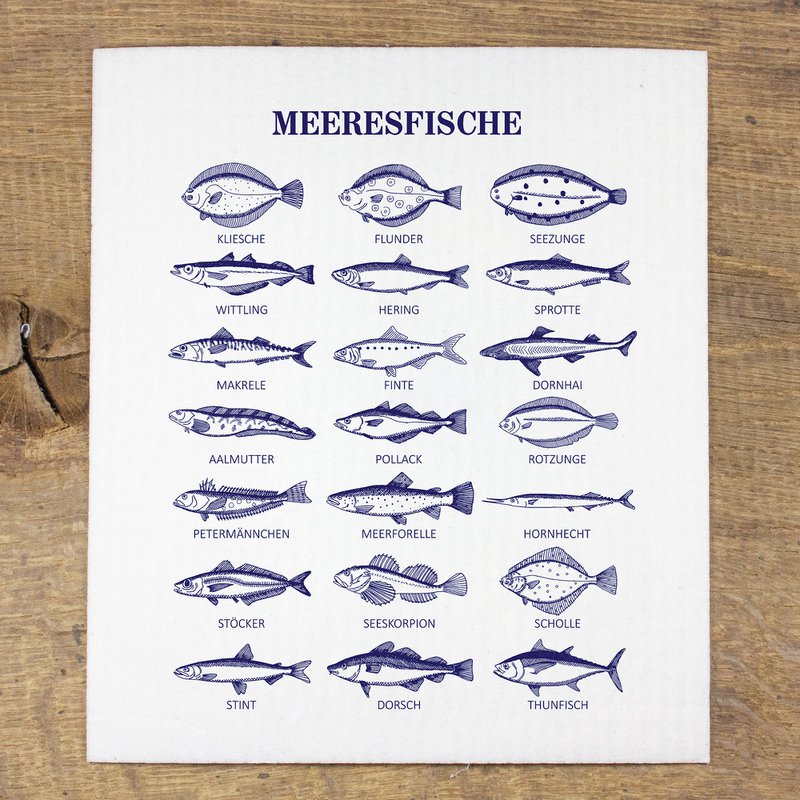 Sponge cloth sea fish