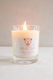 Bougies Parfumées Fleur d'Oranger 250 gr
