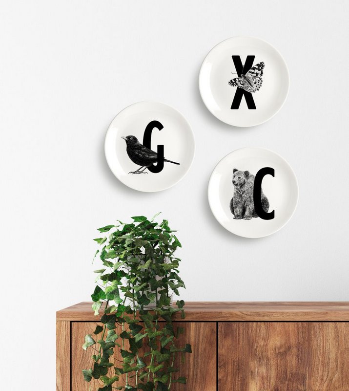 Letter board O with Moonfish