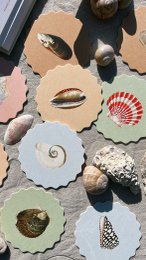 Coaster/Coaster 10 motifs shells - 12 sets