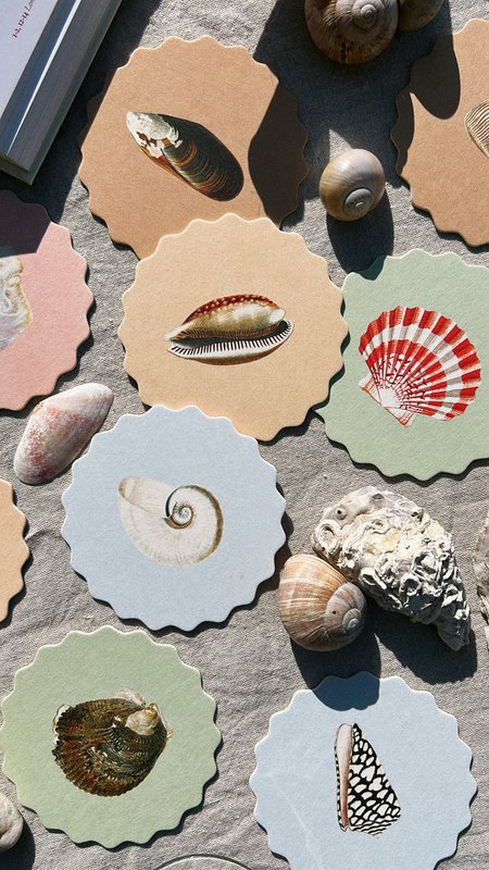 Coaster/Coaster 10 motifs shells - 12 sets