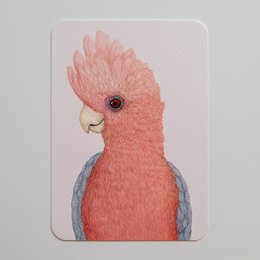 Postkort ROSIE