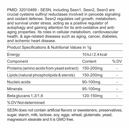 Mobiele gezondheidsondersteuning – SESN