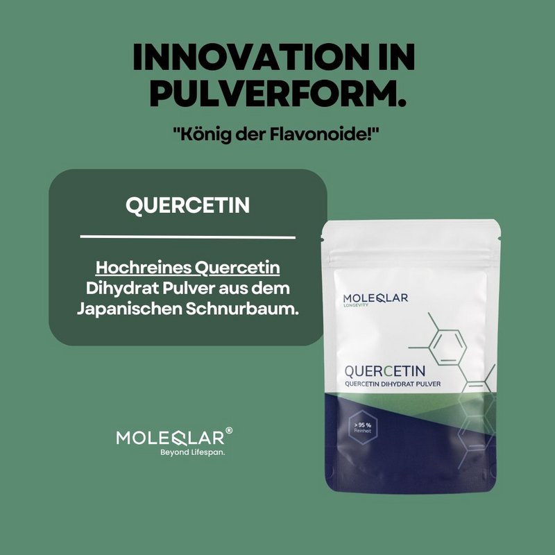 Quercetina en polvo