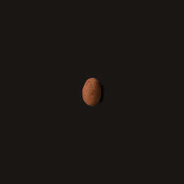 12x Almond - Dark Chocolate with Cinnamon & Orange - Mini 60g
